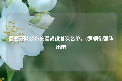 葡萄牙队公布关键战役首发名单，C罗领衔强阵出击