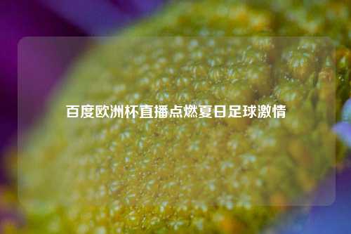 百度欧洲杯直播点燃夏日足球激情