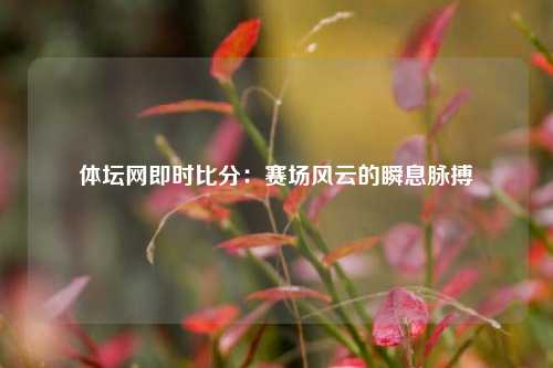 体坛网即时比分：赛场风云的瞬息脉搏