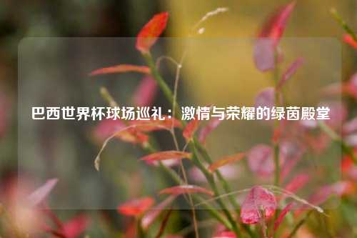  巴西世界杯球场巡礼：激情与荣耀的绿茵殿堂