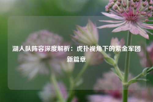 湖人队阵容深度解析：虎扑视角下的紫金军团新篇章