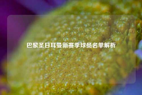 巴黎圣日耳曼新赛季球员名单解析