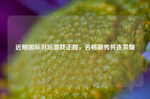 近期国际羽坛激战正酣，名将新秀共逐荣耀